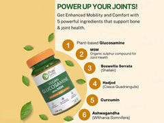 Pure Nutrition Vegan Glucosamine With MSM Veg Tablet ( 60 Tablets )