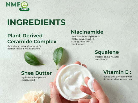 NMFe Max Skin Cream For Dry & Sensitive Skin ( 50 GM )